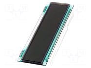 Display: LCD; 7-segment; STN Positive; No.of dig: 8; 70x25x1.1mm DISPLAY ELEKTRONIK