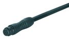 CIR CABLE, 3POS RCPT-FREE END, 2M
