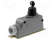 Limit switch; transversal plastic roller; SPDT; 6A; max.400VAC PROMET