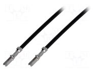 Cable with connectors; CLIK-Mate female; Contacts ph: 2mm; 24AWG MOLEX