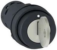 KEY LOCK SW, SPST-NO, 240V, SCREW CLAMP