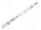 LED tape; white warm; 3528; 24V; LED/m: 50; 12mm; IP20; 120°; 4.8W/m Ledxon