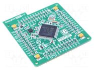Multiadapter; Comp: STM32F207VGT6; prototype board MIKROE