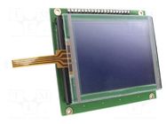 Display: LCD; graphical; 128x64; STN Negative; Touchpad: yes MIKROE