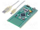Dev.kit: Microchip; USB cable,prototype board MIKROE