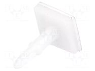 PCB distance; polyamide; L: 11.5mm; self-adhesive; natural FIX&FASTEN
