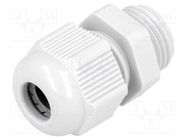 Cable gland; PG9; IP68; polyamide; grey FIBOX