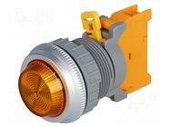 Control lamp; 30mm; PLN30; -20÷60°C; Illumin: BA9S,filament lamp AUSPICIOUS