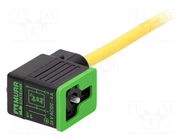 Valve connector; plug; Type: BI; PIN: 3; 11mm; female; 24VDC; 4A; IP65 MURRELEKTRONIK