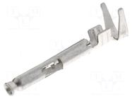 Contact; female; Mini Universal MATE-N-LOK; brass; tinned; bulk TE Connectivity