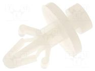 PCB distance; polyamide; L: 6.4mm; bayonet,snap fastener; natural KSS WIRING