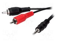 Cable; Jack 3.5mm 3pin plug,RCA plug x2; 5m; black BQ CABLE