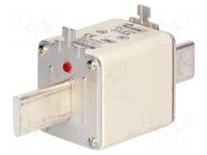 Fuse: fuse; 315A; 500VAC; 250VDC; gG,gL; ceramic,industrial; NH2 BUSSMANN