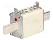 Fuse: fuse; 224A; 500VAC; 250VDC; gG,gL; ceramic,industrial; NH1 BUSSMANN