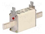 Fuse: fuse; 160A; 500VAC; 250VDC; gG,gL; ceramic,industrial; NH01 BUSSMANN