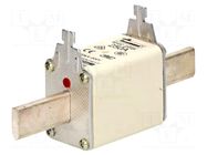 Fuse: fuse; 250A; 500VAC; 250VDC; gG,gL; ceramic,industrial; NH02 BUSSMANN
