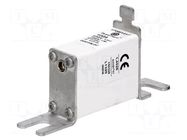 Fuse: fuse; 100A; 690VAC; aR,quick blow; ceramic,industrial; NH000 BUSSMANN