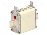 Fuse: fuse; 160A; 500VAC; 250VDC; gG,gL; ceramic,industrial; NH00 BUSSMANN
