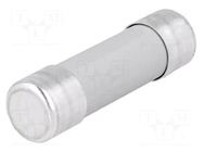 Fuse: fuse; 25A; 690VAC; gG; ceramic,cylindrical,industrial BUSSMANN