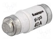 Fuse: fuse; 40A; 400VAC; 250VDC; ceramic,industrial; D02 BUSSMANN