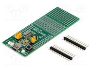 Dev.kit: Microchip AT90; Components: AT90USB162; prototype board MIKROE
