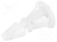 Assembly stud; polyamide; L: 6.1mm; snap fastener; natural KSS WIRING