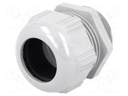 Cable gland; M40; 1.5; IP68; polyamide; grey; UL94V-2; SKINTOP® LAPP