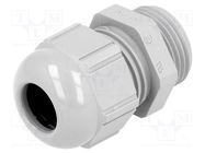 Cable gland; PG11; IP68; polyamide; grey; UL94V-2; SKINTOP® LAPP