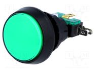 Switch: push-button; Pos: 2; SPDT; 10A/250VAC; ON-(ON); Illumin: LED HIGHLY ELECTRIC