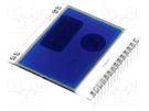 Display: LCD; graphical; 102x64; STN Negative; blue; 39x38.1mm DISPLAY VISIONS