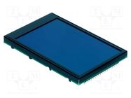 Display: LCD; graphical; 240x128; STN Negative; blue; 113x70mm DISPLAY VISIONS