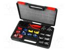 Kit: for crimping push-on connectors, terminal crimping; case NEWBRAND