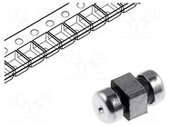 Filter: anti-interference; 100pF; SMD; 25VDC; 6A; -20÷80%; 1206 MURATA