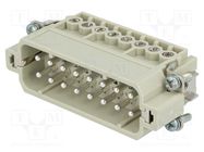 Connector: HDC; contact insert; male; Han® A; PIN: 16; 16+PE; 16A HARTING