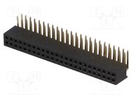 Socket; pin strips; female; PIN: 48; angled 90°; 1.27mm; THT; 2x24 CONNFLY