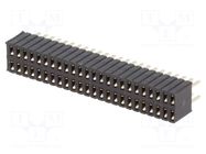Connector: pin strips; socket; female; PIN: 48; THT; straight; 2x24 CONNFLY