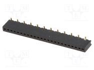 Socket; pin strips; female; PIN: 24; straight; 1.27mm; SMT; 1x24 CONNFLY
