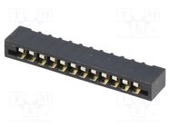 Connector: FFC/FPC; straight; PIN: 12; Non-ZIF; THT; tinned; 20mΩ CONNFLY