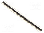 Connector: pin strips; pin header; male; PIN: 40; straight; THT CONNFLY
