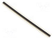 Connector: pin strips; pin header; male; PIN: 40; straight; THT CONNFLY