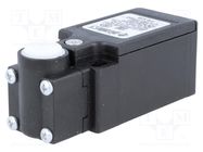 Limit switch; without lever; NO + NC; 10A; max.500VAC; max.250VDC PIZZATO ELETTRICA