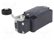 Limit switch; lever R 40mm, plastic roller Ø20mm; NO + NC; 10A PIZZATO ELETTRICA
