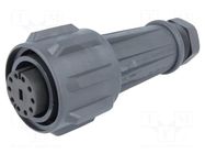 Connector: circular; plug; female; PIN: 10; 10A; 250V; EXPlora; IP68 BULGIN