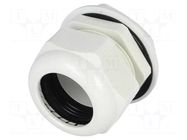 Cable gland; PG42; IP68; polyamide; grey; UL94V-2; 25.4mm KSS WIRING