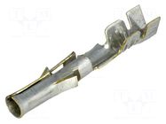 Contact; female; Standard .093"; tinned; 22AWG÷18AWG; crimped MOLEX