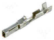 Contact; female; tinned; 30AWG÷24AWG; cut from reel; crimped; SL MOLEX