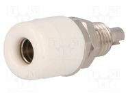 Socket; 4mm banana; 32A; 60VDC; white; nickel plated; insulated SCHÜTZINGER