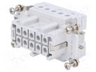 Connector: HDC; contact insert; female; HTS HE; PIN: 10; 10+PE; 16A TE Connectivity