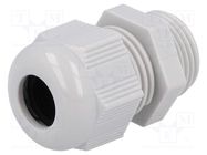 Cable gland; PG11; IP68; polyamide; grey; HELUTOP HT-PG HELUKABEL