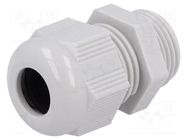 Cable gland; PG11; IP68; polyamide 6; light grey; HELUTOP® HT HELUKABEL